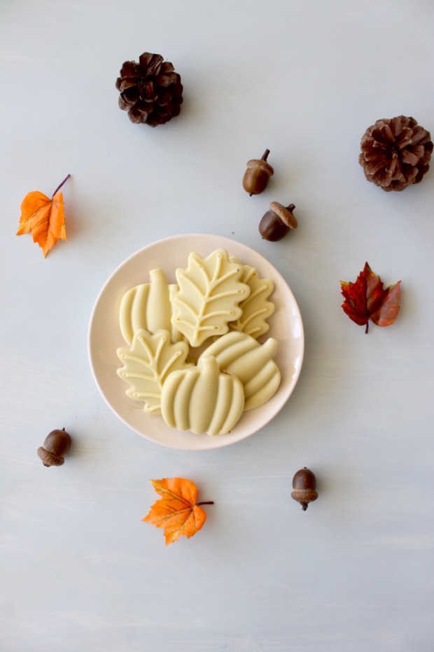 White Chocolate Pumpkin Peanut Butter Cups | Popcorn & Chocolate
