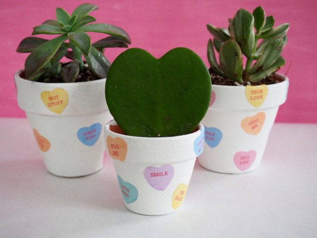 Candy Heart Plant Pot for Valentine's Day | Popcorn and Chocolate